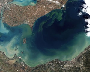 This image was taken during one of Lake Erie's worst algae blooms in decades. Image credit: NASA Earth Observatory