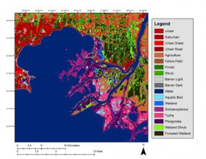 Michigan Tech Research Institute researchers used three-season PALSAR remote sensing data and field information to create a map of the Great Lakes coastal wetlands.