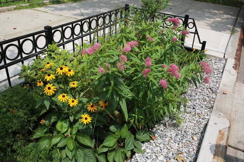 New York City awards Dewberry contract to improve green infrastructure