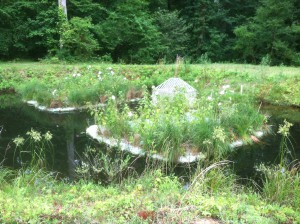 Two floating treatment wetlands surrounding the outlet structure of a stormwater pond in Durham, N.C. Image by Ryan Winston, NCSU