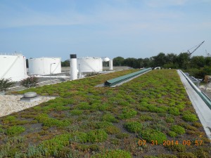 The green roof at the CITGO Chesapeake Terminal in Chesapeake, Va., helped the company earn its fourth Sustained Distinguished Performance Award from the Elizabeth River Project.
