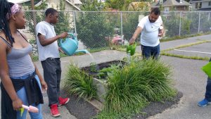 A tour of the 1.2-ha (3-ac) East Capitol Urban Farm (Washington, D.C.) includes a lesson about raised-bed garden plots, which allow water-retaining plants to grow even under otherwise inhospitable conditions, such as on concrete. (Photo courtesy Seth Brown)