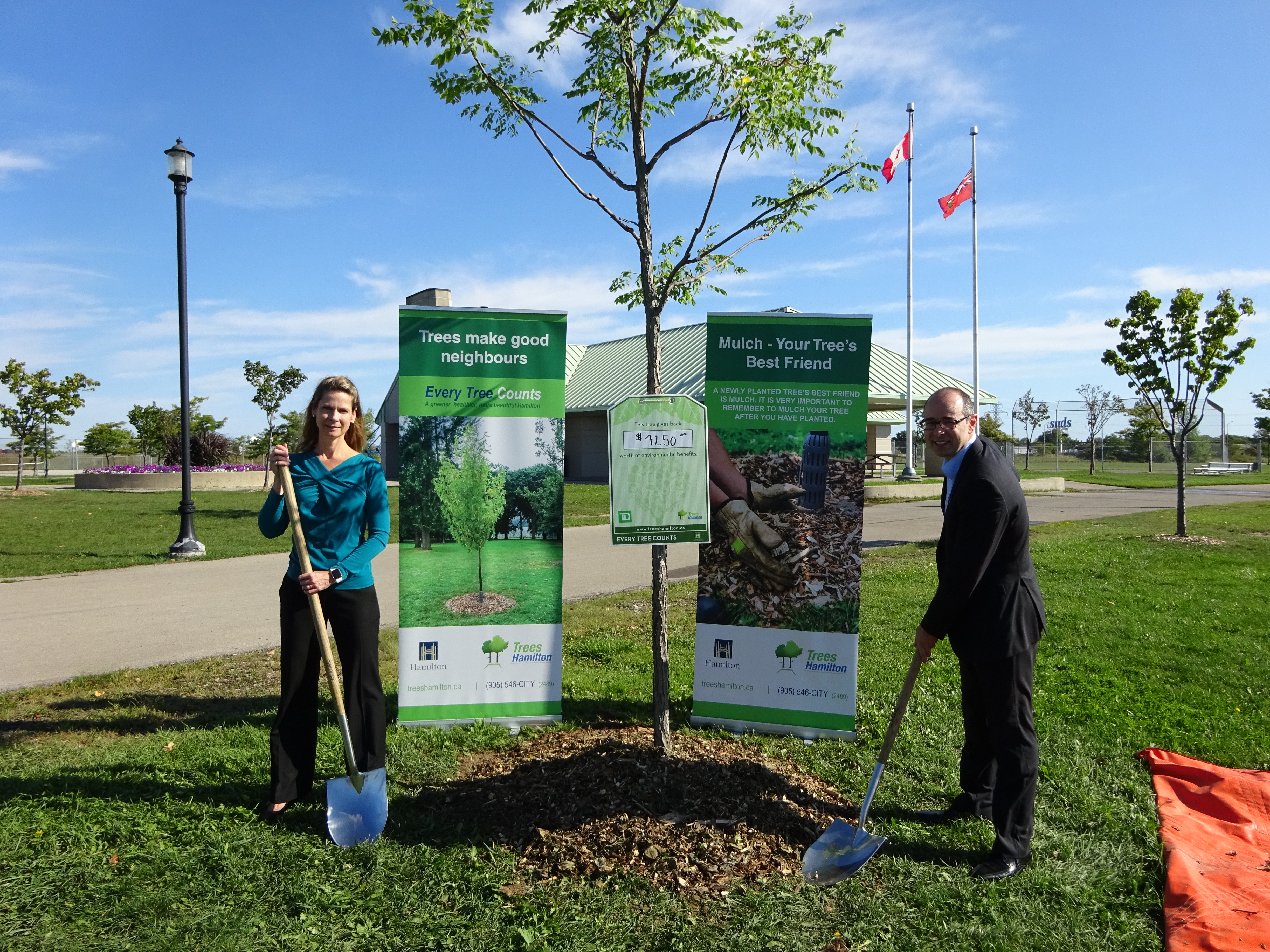 Canadian city “prices” 150 local trees for National Tree Day