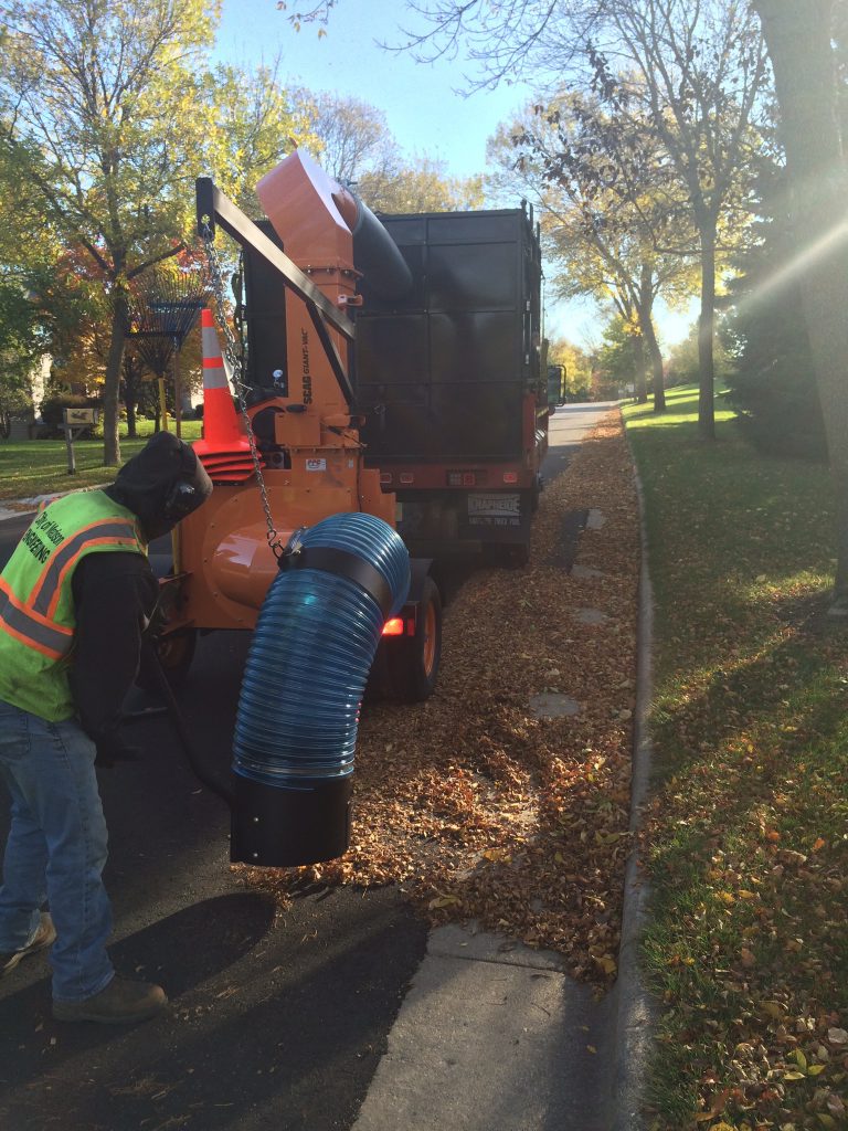 Removing fallen leaves can improve urban water quality - Stormwater Report