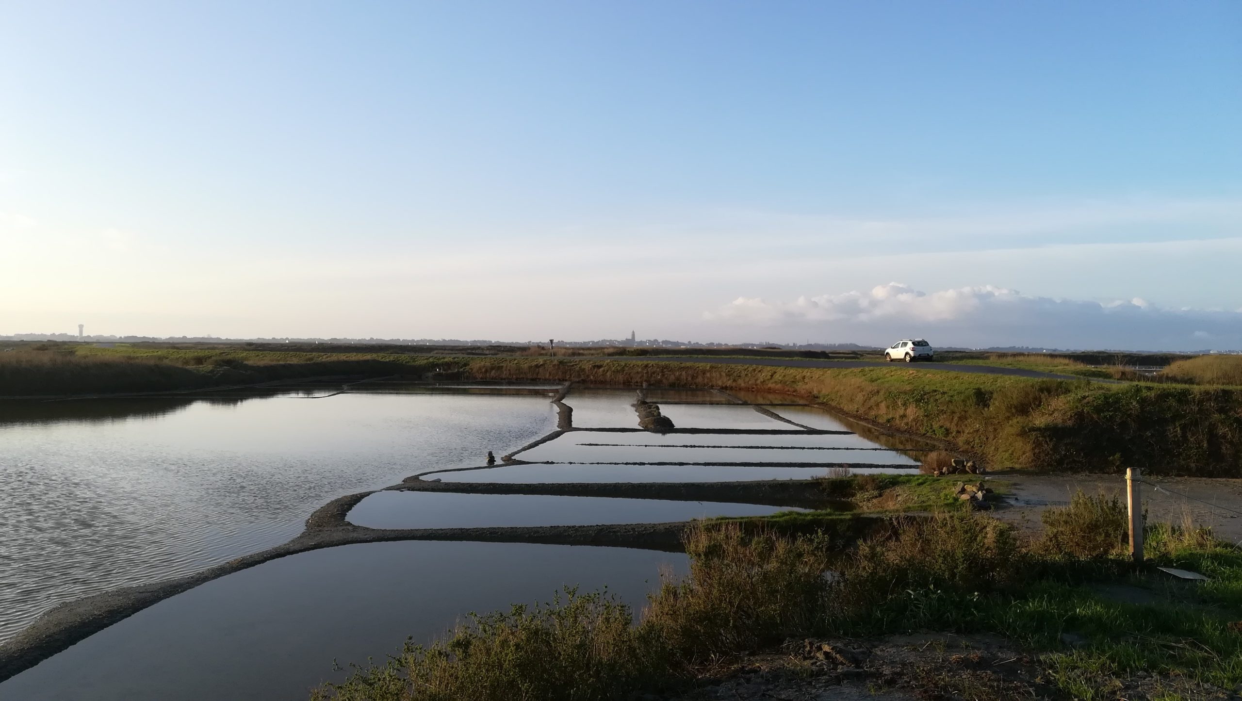 11-facts-about-salt-marshes-and-why-we-need-to-protect-them