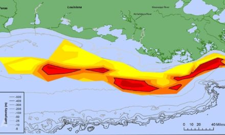Hurricane Hanna Hampers Annual Gulf of Mexico Dead Zone Survey