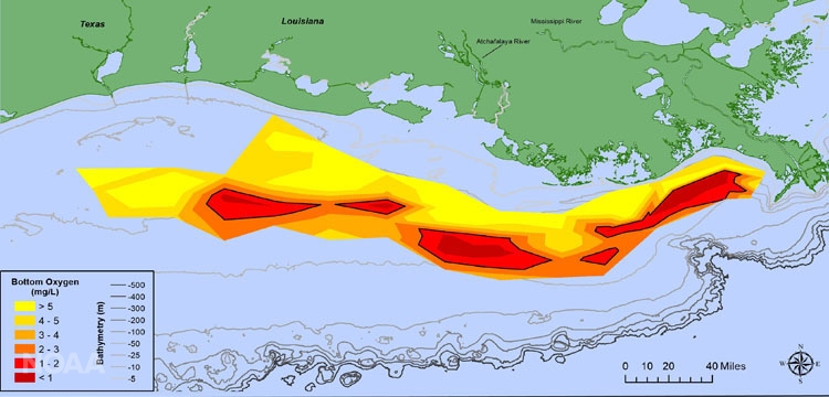 Hurricane Hanna Hampers Annual Gulf of Mexico Dead Zone Survey