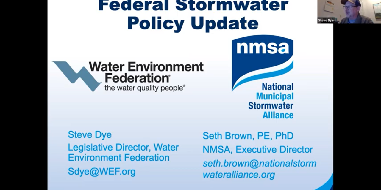 Experts Discuss State of the U.S. Stormwater Sector
