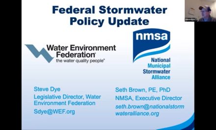 Experts Discuss State of the U.S. Stormwater Sector