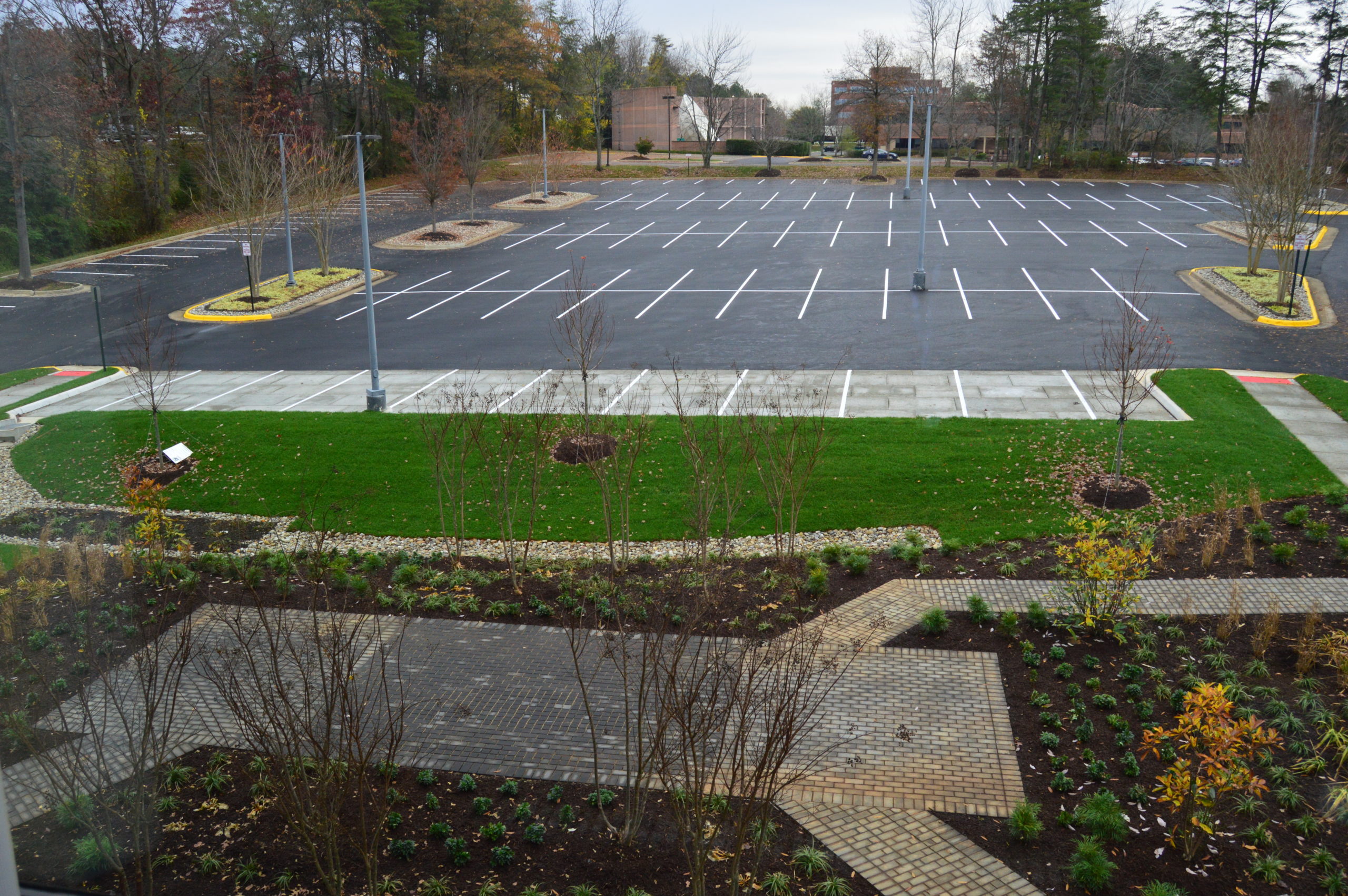 Environmental Problems with Parking Lots