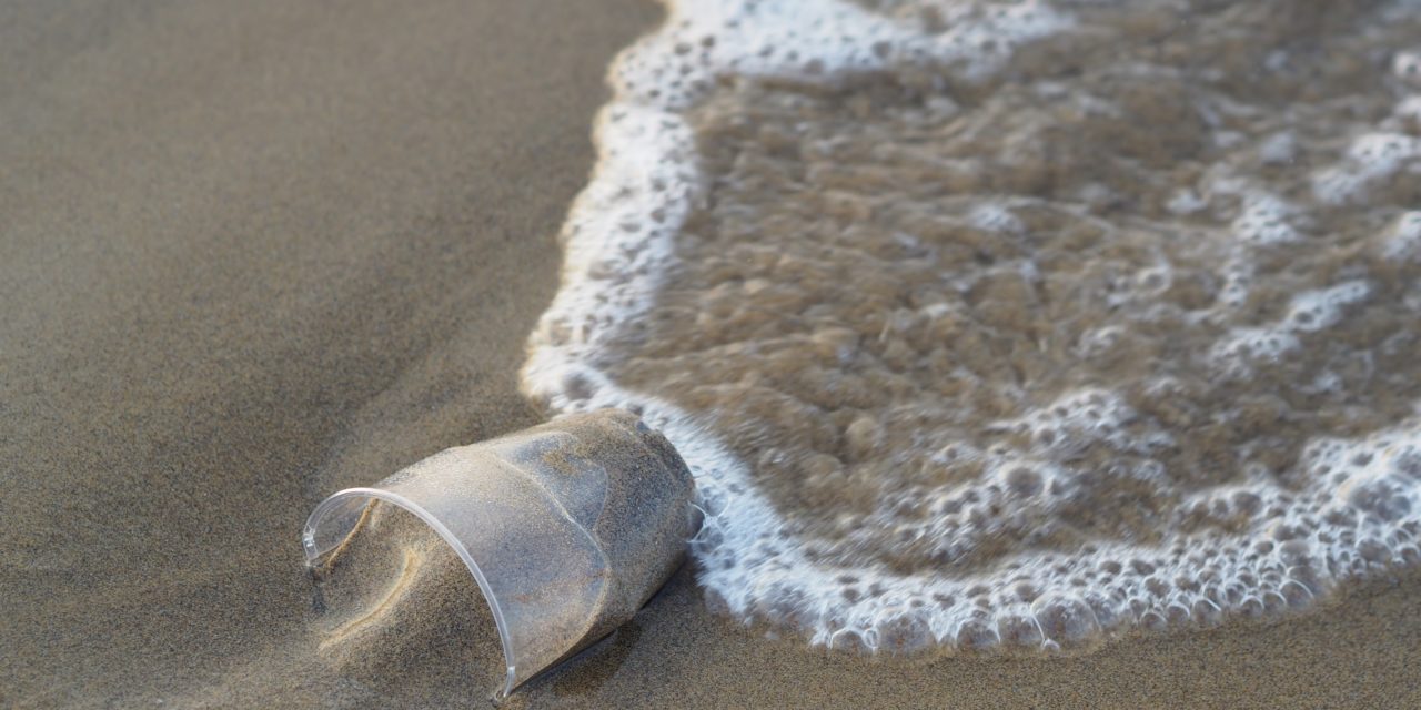 U.S. Congress Addresses Marine Plastics at Their Source