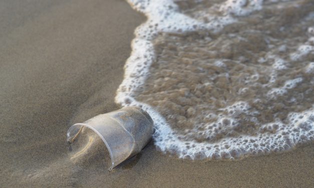 U.S. Congress Addresses Marine Plastics at Their Source