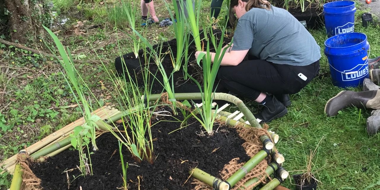 Green Infrastructure Students Target Tennessee River