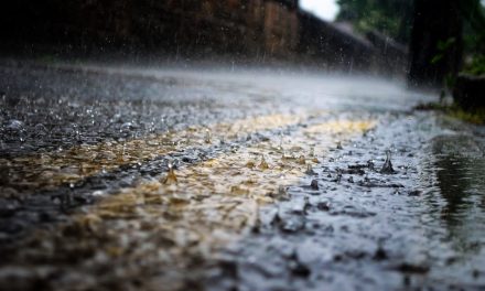 Study: Stormwater Infrastructure Ineffective in Densely Urbanized Watersheds