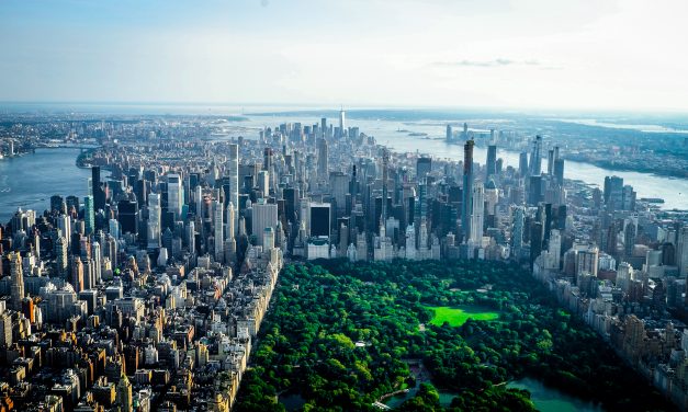 Making the Most of One Million New Trees in NYC
