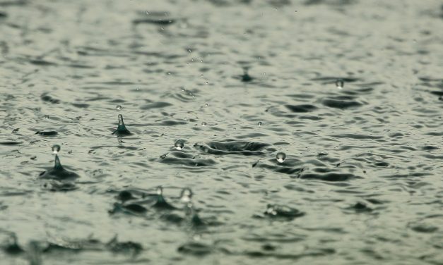 Scientists Contend PFAS in Rainfall Represents Global Crisis