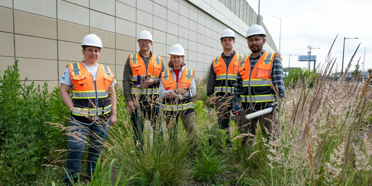 Researchers Determine Mystery Cause Behind Brown Bioretention Basins