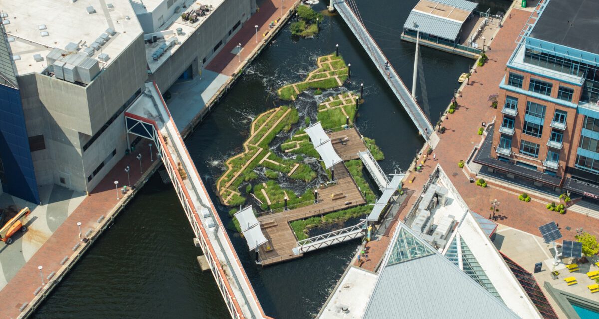 Baltimore’s Floating Wetland Provides Refuge for Wildlife, Social Space for Community