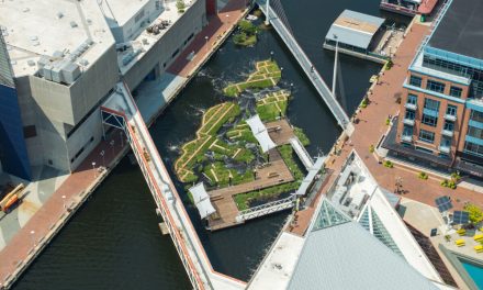 Baltimore’s Floating Wetland Provides Refuge for Wildlife, Social Space for Community