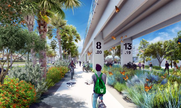 Miami ‘Underline’ Delivers Fun and Function Beneath Elevated Metro Tracks